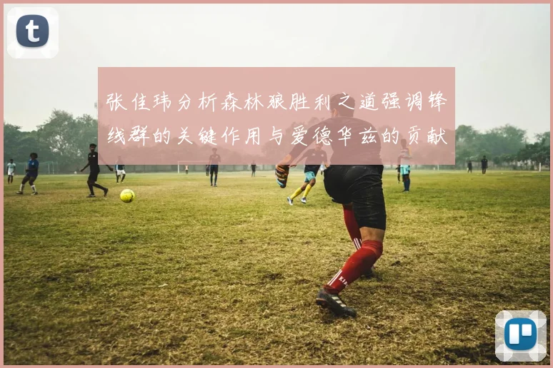 张佳玮分析森林狼胜利之道强调锋线群的关键作用与爱德华兹的贡献